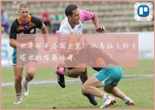世界杯举办国全览：从乌拉圭到卡塔尔的绿茵传奇