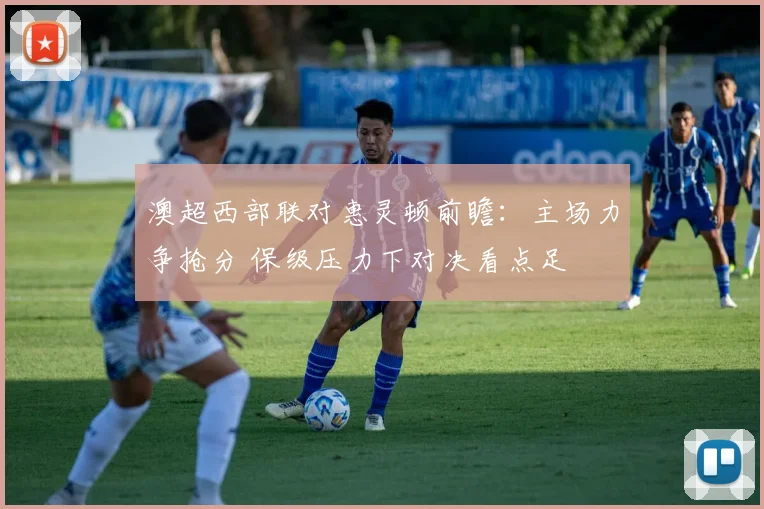澳超西部联对惠灵顿前瞻：主场力争抢分 保级压力下对决看点足