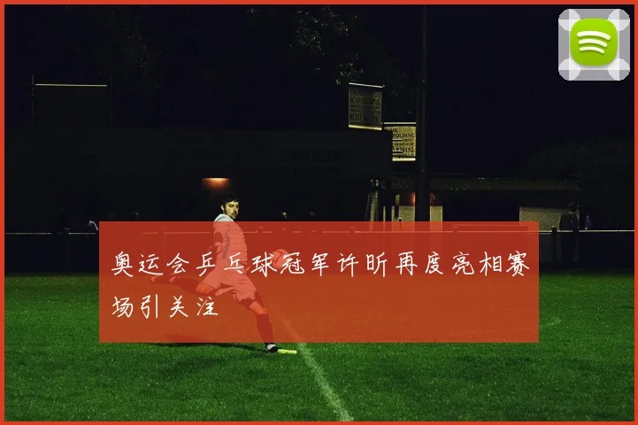 奥运会乒乓球冠军许昕再度亮相赛场引关注
