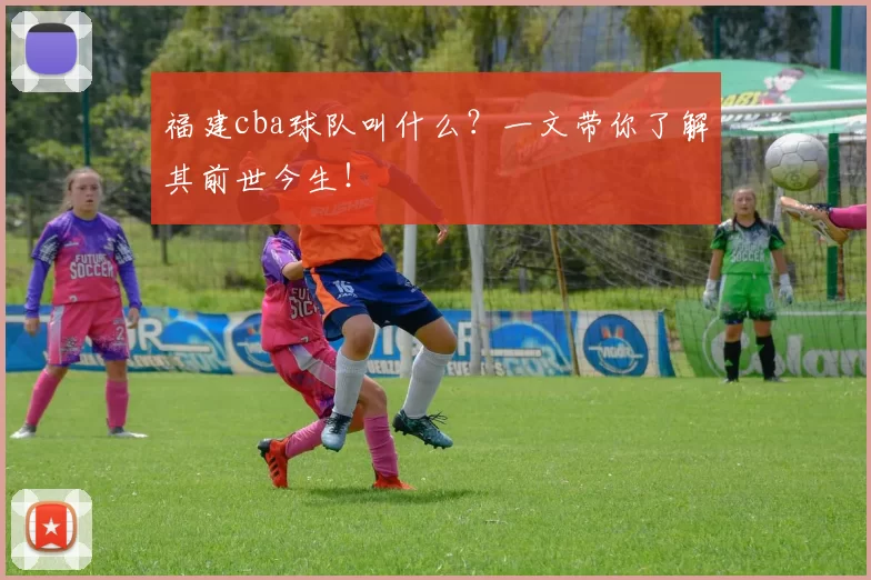 福建cba球队叫什么？一文带你了解其前世今生！