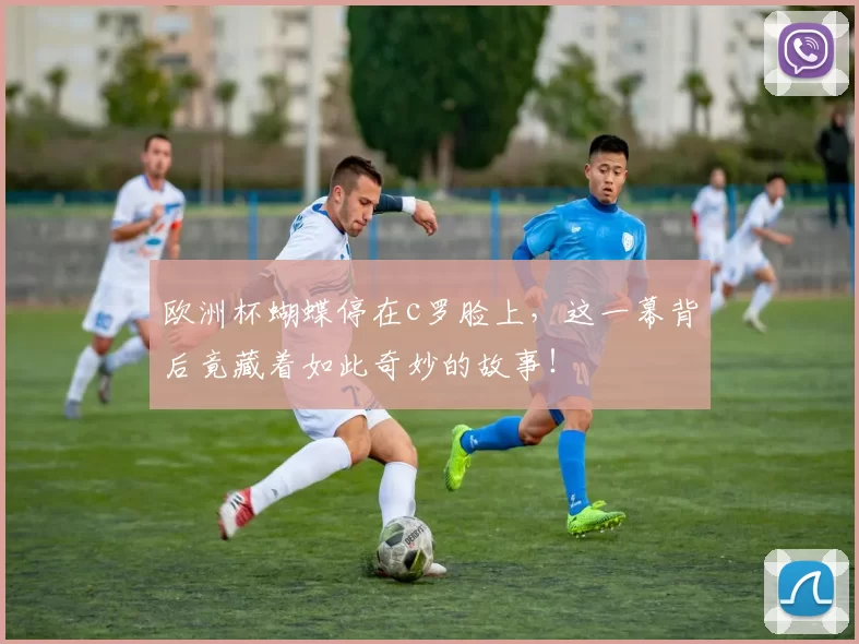 欧洲杯蝴蝶停在c罗脸上，这一幕背后竟藏着如此奇妙的故事！