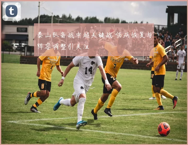泰山队备战中超关键战 伤病恢复与阵容调整引关注